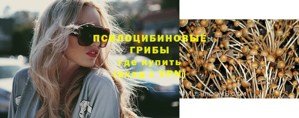наркотики Бородино